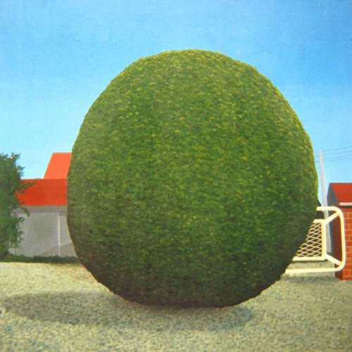 HET BOLLE BOOMPJE,  Oliverf  80x80cm,  Frans van Veen 1975