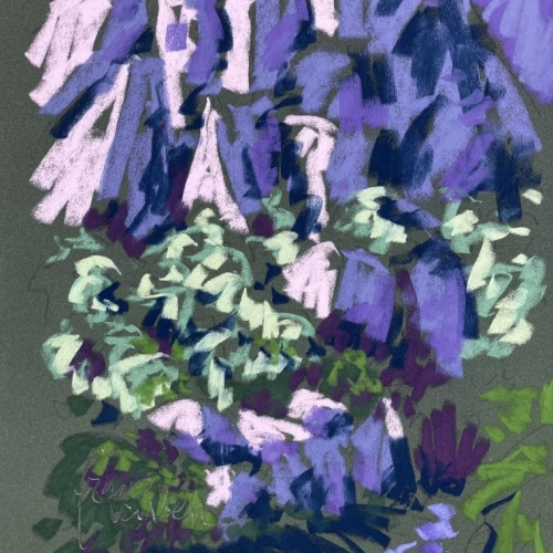 Pastel, 50x65cm, Sainte Victoire 